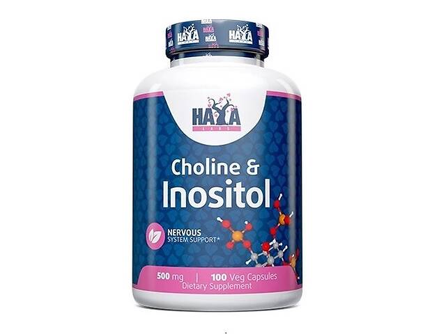 Инозитол Haya Labs CHOLINE & INOSITOL 100 Veg Caps