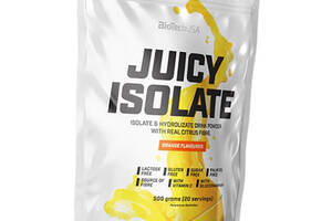 Изолят и гидролизат сывороточного протеина Juicy Isolate BioTech (USA) 500г Апельсин (29084029)