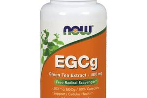 Зеленый чай NOW Foods EGCg Green Tea Extract 400 mg 90 Veg Caps