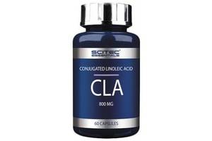 Жиросжигатель Scitec Nutrition CLA 60 Caps