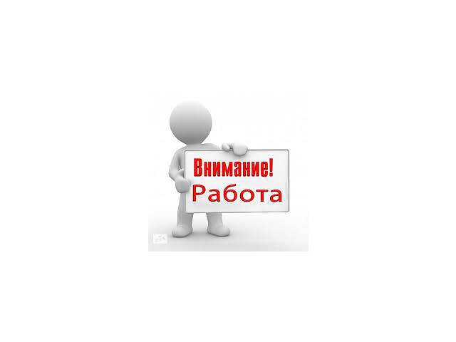 работа в офисе для всех