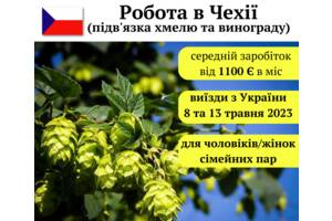 Різноробочий в Чехію на поля