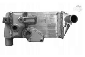 Радіатор масла DAF 95XF / TG Kerax Premium Magnum
