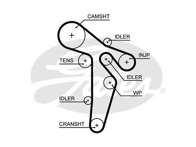 Ремень ГРМ (160x25) VW Transporter T5 2.0TDI / 2.0BiTDI 2009- 5649XS GATES