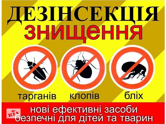 Дезинсекция. Уничтожение тараканов, клопов, блох, мышей