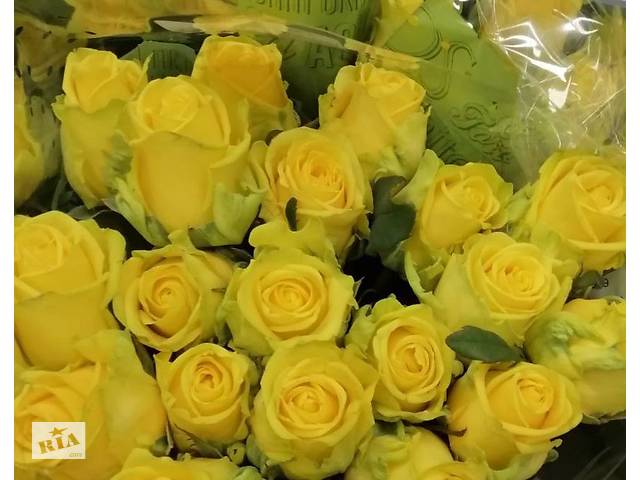 Купить розы. Доставка цветов Днепр. Магазин цветов Днепр. Купить цветы недорого. - Фото 15