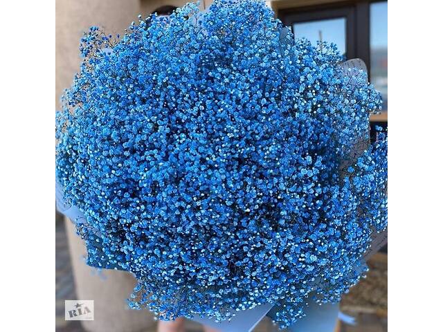 Купить розы. Доставка цветов Днепр. Магазин цветов Днепр. Купить цветы недорого. - Фото 20