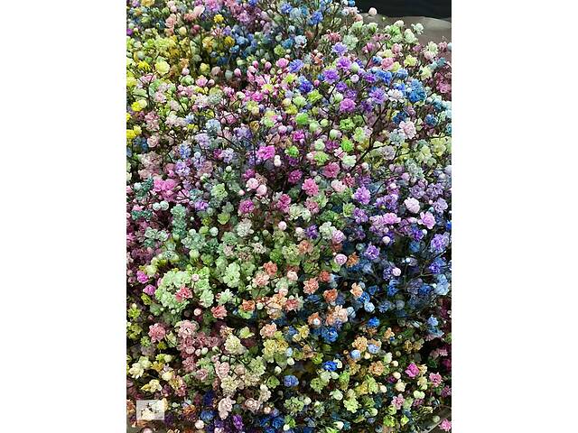 Купить розы. Доставка цветов Днепр. Магазин цветов Днепр. Купить цветы недорого. - Фото 23