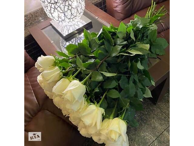 Купить розы. Доставка цветов Днепр. Магазин цветов Днепр. Купить цветы недорого. - Фото 30