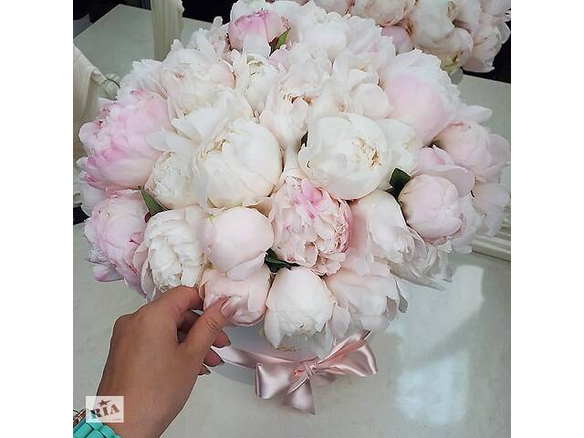 Купить розы. Доставка цветов Днепр. Магазин цветов Днепр. Купить цветы недорого. - Фото 32