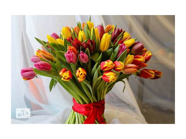Купить розы. Доставка цветов Днепр. Магазин цветов Днепр. Купить цветы недорого. - Фото 46