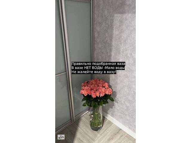 Купить розы. Доставка цветов Днепр. Магазин цветов Днепр. Купить цветы недорого. - Фото 54