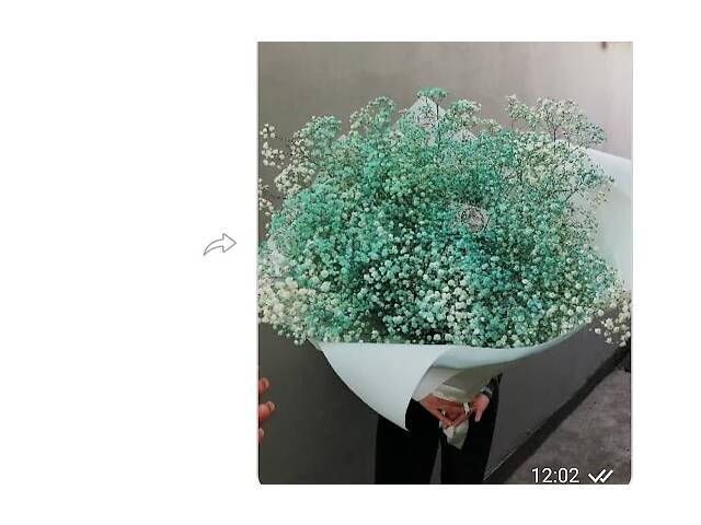 Купить розы. Доставка цветов Днепр. Магазин цветов Днепр. Купить цветы недорого. - Фото 55