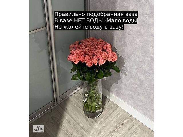 Купить розы. Доставка цветов Днепр. Магазин цветов Днепр. Купить цветы недорого. - Фото 56