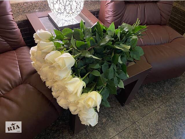 Купить розы. Доставка цветов Днепр. Магазин цветов Днепр. Купить цветы недорого. - Фото 90