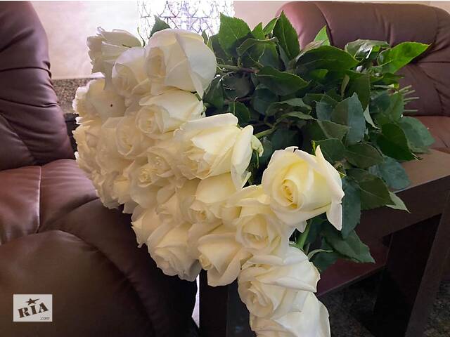 Купить розы. Доставка цветов Днепр. Магазин цветов Днепр. Купить цветы недорого. - Фото 91
