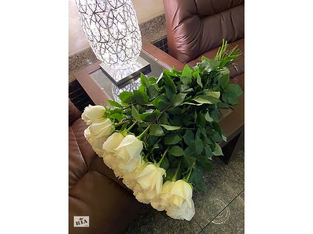 Купить розы. Доставка цветов Днепр. Магазин цветов Днепр. Купить цветы недорого. - Фото 105