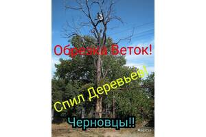 Спил деревьев,обрезка веток,садов.