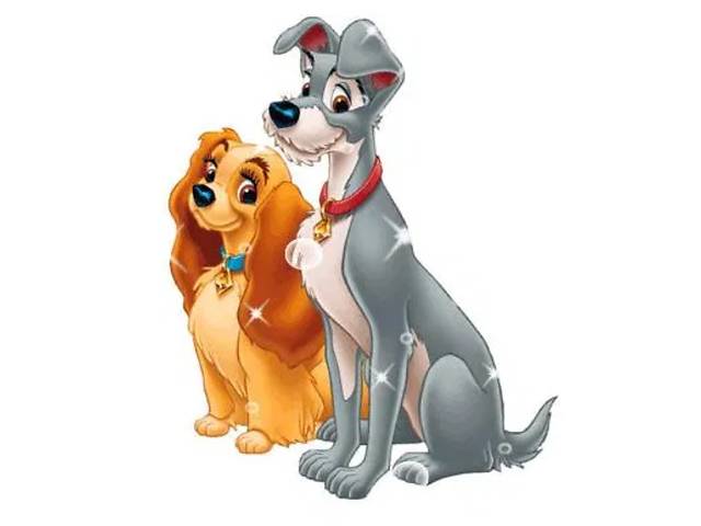 Інструктор з в'язки собак - Фото 1