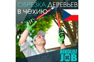 Ишу работу дом работник или садовник, как намотать сопротивление 0.1 ом и свежие анегдоты от моменко Ишу работу дом работник или садовник