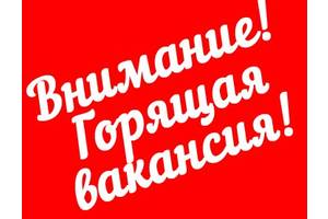 Свежие вакансии для студентов харьков свежие вакансии оао аэрофлот