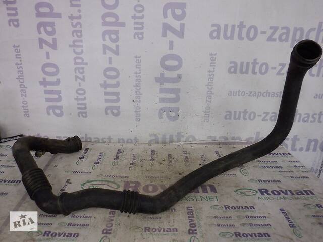 Патрубок интеркулера (1,5 DCI) Renault KANGOO 1 2003-2008 (Рено Кенго), СУ-173141