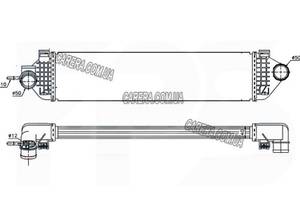 Интеркулер FORD FOCUS III