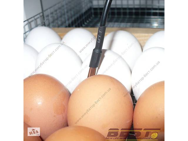 Автоматичний інкубатор BEST-5000 - Фото 13