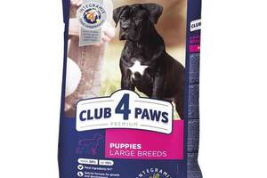 Club 4 Paws (Клуб 4 Лапы) Premium Puppy Large Breed Chicken сухой корм с курицей для щенков крупных пород