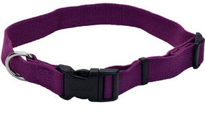 Coastal New Earth Soy Dog Collar КОСТАЛ СОЕВЫЙ ЭКООШЕЙНИК для собак фиолетовый L 2.5x46 - 66 см (76484149115)