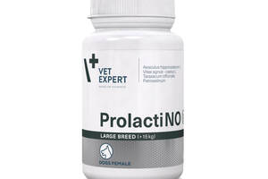 Добавка VetExpert ProlactiNO Large Breed для уменьшения симптомов ложной беременности у собак крупных пород 40 табл