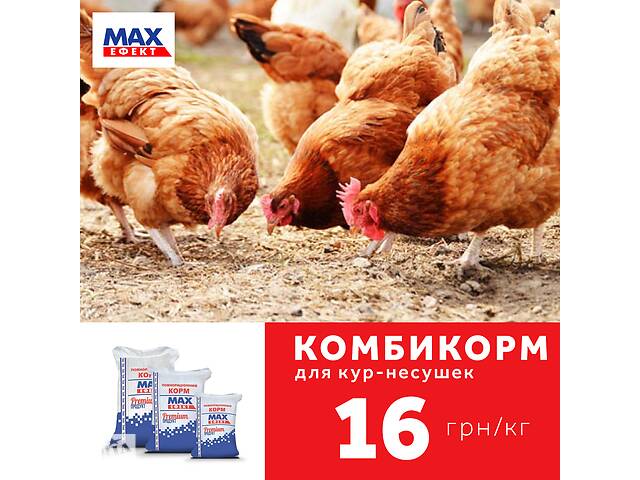 Комбикорм MAX эффект для кур несушек от 9 до 17 недель