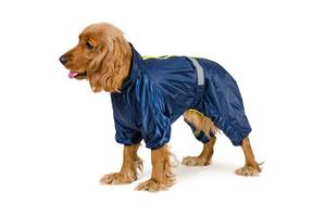 Комбинезон для большиx собак Pet Fashion RAIN Active 2XL (4823082416318)