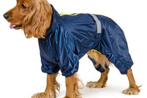 Комбинезон для большиx собак Pet Fashion RAIN Active 2XL (4823082416318)