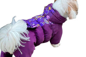 Комбинезон для собак девочек Fifa Азалия XXS Фиолетовый
