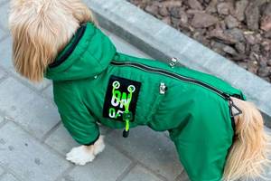 Комбинезон для собак мальчиков Fifa Халк S1 Зеленый