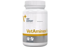 Комплекс витаминов и минералов для кошек и собак VetExpert VetAminex 60 капсул (5902768346695)