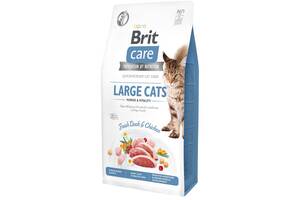 Корм для кошек крупных пород Brit Care Large Cats Power Vitality 7 кг с курицей и уткой