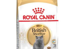 Корм Royal Canin British Shorthair Kitten сухой для котят породы британец 10 кг