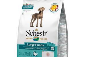 Корм Schesir Dog Large Puppy сухой монопротеиновый с курицей для щенков крупных пород 3 кг