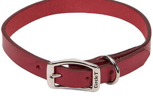 Кожаный ошейник для собак Coastal Circle T Leather Town красный 2.5x55 см (76484104718)