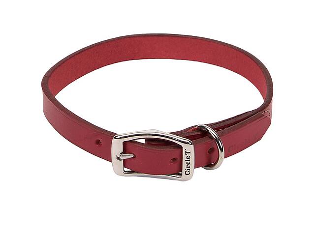 Кожаный ошейник для собак Coastal Circle T Leather Town красный 2.5x55 см (76484104718)