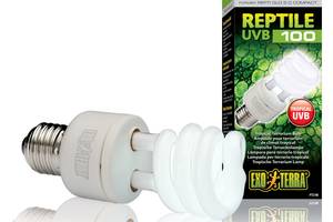 Лампа для террариума Exo Terra REPTI GLO 5.0/13W UVB100 Е27 (15561221863)