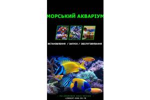 Морські акваріуми,акваріум вінниця