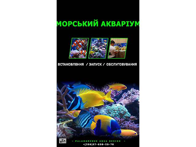 Морской аквариум под ключ - Фото 1 Морской аквариум под ключ - Фото 1