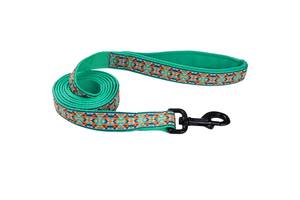 Поводок для собак Coastal Ribbon Weave Leash темно-бирюзовый с косточками 2.5x180 см (76484159756)