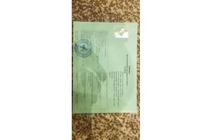 Продам цуценят породи курцхаар від робочих дипломованих батьків .