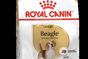 Royal Canin Beagle Adult (Роял Канин Бигль Эдалт) сухой корм для собак породы бигль от 12 месяцев 3 кг