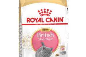 Royal Canin British Shorthair Kitten (Роял Канин Киттен британская короткошерстная) сухой корм для котят