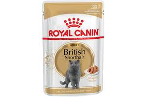 Royal Canin British Shorthair (Роял Канин Бритиш Шортхейр) влажный корм для кошек породы британская 85г х 12шт